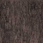 bark2 150x150 การ render Pecspective ภายนอก Vray by Red Vertex 4 (พื้นผิวTexture)